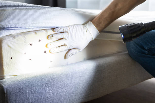 Best Pest Prevention Services  in North Middletown, NJ