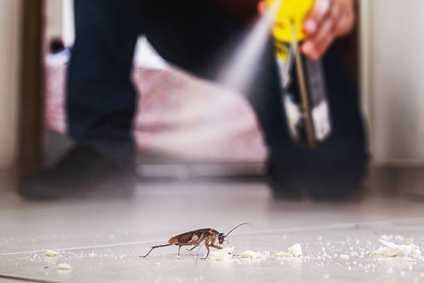 Best Affordable Pest Control Services  in North Middletown, NJ