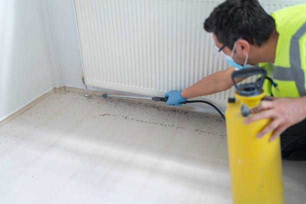 Best Residential Pest Control  in North Middletown, NJ
