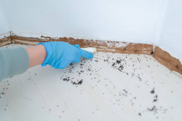 Best Pest Control for Homes  in North Middletown, NJ