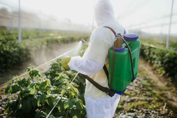Best Emergency Pest Control  in North Middletown, NJ